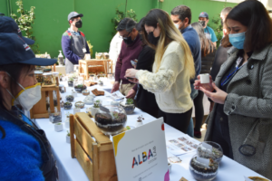 Feria de emprendimiento, Equipo Albalab 3