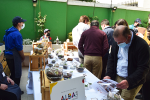 Feria de emprendimiento, Equipo Albalab 6