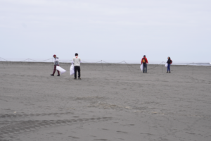 Actividad de Limpieza del Parque Humedal Río Maipo 10