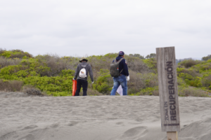 Actividad de Limpieza del Parque Humedal Río Maipo 8